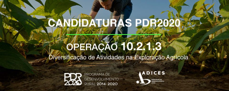 Diversificação de Atividades na Exploração Agrícola - OP 10.2.1.3