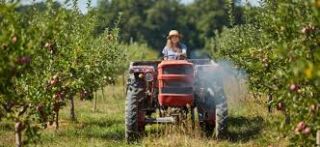 EOC 2021 – CONGRESSO EUROPEU DE AGRICULTURA BIOLÓGICA 2021