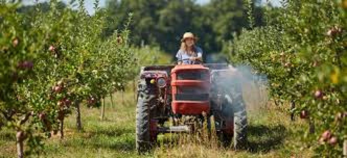 EOC 2021 – CONGRESSO EUROPEU DE AGRICULTURA BIOLÓGICA 2021