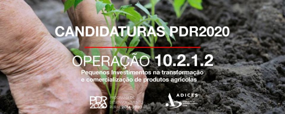 Pequenos Investimentos na transformação e comercialização de produtos agrícolas - OP 10.2.1.2